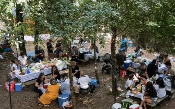 Grupo em piquenique nas mesas à sombra das árvores